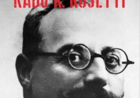 În vâltoarea războiului