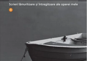 Parerga și paralipomena (Vol. 2)