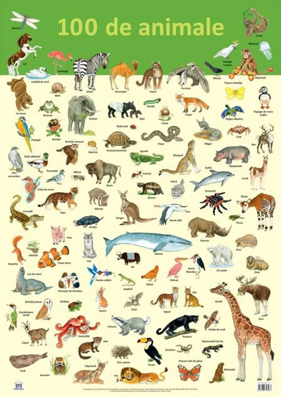 Planșă - 100 de animale
