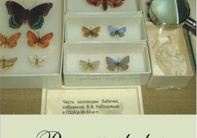 Povestirile lui Vladimir Nabokov