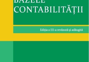 Bazele contabilității