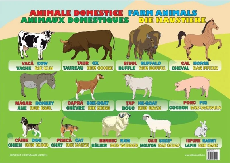 Planșă - Animale domestice