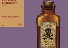 Un trandafir pentru Emily | vinil audiobook