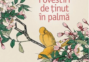 Povestiri de ținut în palmă