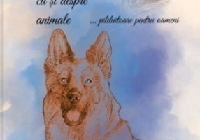 Povești reale cu și despre animale… pilduitoare pentru oameni