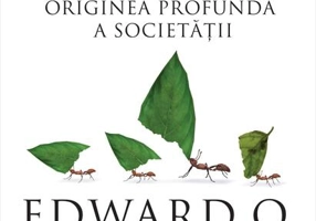 Geneza. Originea profundă a societății