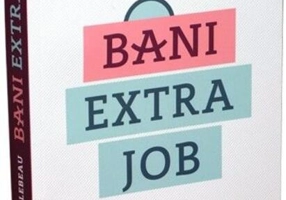 Bani extra job. De la idee la venit în 27 de zile