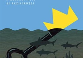 Supernormal. Povestea neîmpărtășită a adversității și rezilienței