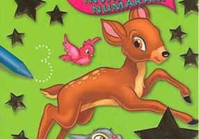 Activități de vacanță. Învățăm să numărăm