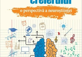 O zi din viața creierului. O perspectivă a neuroștiinței