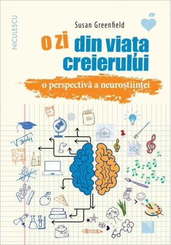 O zi din viața creierului. O perspectivă a neuroștiinței