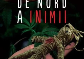 Partea de nord a inimii