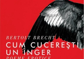 Cum cucerești un înger