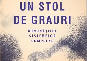 Un stol de grauri