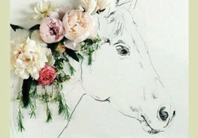 1001 de Nopți Șeherezada