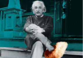 Dragă profesore Einstein