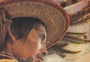 Învățăturile șamanilor Peyotl. Cele cinci puncte ale atenției