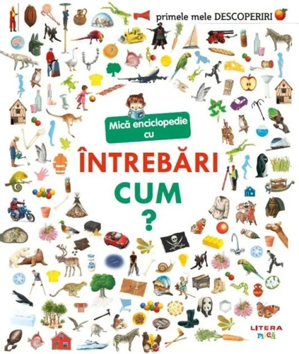 Mică enciclopedie cu întrebări. Cum?