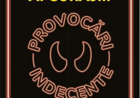 Provocări indecente