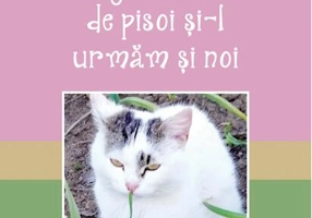 Bulgăraş Pătat merge la şcoala de pisoi şi-l urmăm şi noi