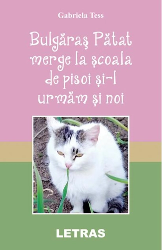 Bulgăraş Pătat merge la şcoala de pisoi şi-l urmăm şi noi