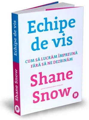 Echipe de vis.Cum să lucrăm împreună fără să ne dezbinăm