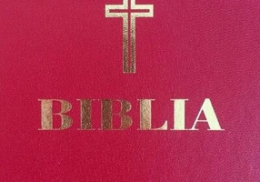 Biblia (grena, simplă)