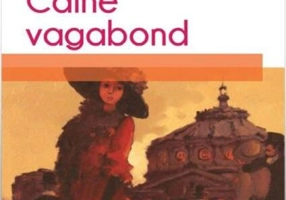 Câine vagabond