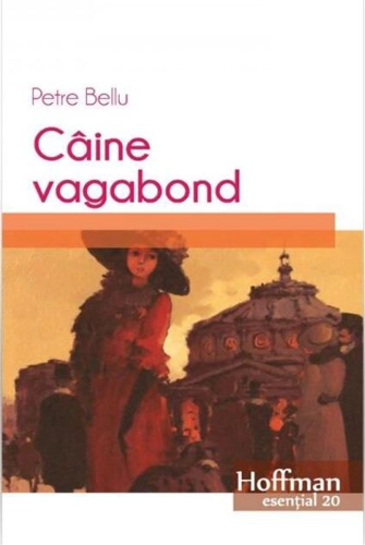 Câine vagabond