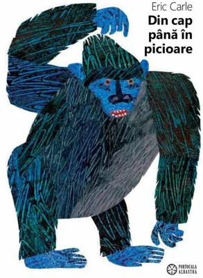 Din cap până în picioare