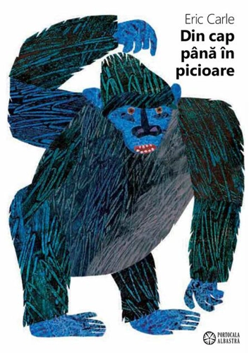 Din cap până în picioare