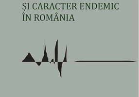 Corupție, cultură și caracter endemic în România