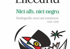 Nici alb, nici negru. Radiografia unui sat românesc, 1948-1998