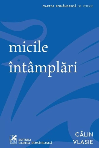 Micile întâmplări