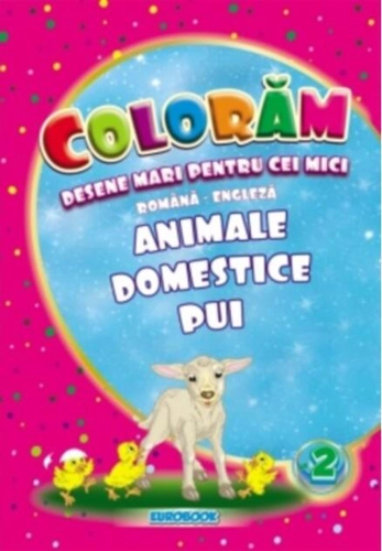 Animale domestice pui. Desene mari pentru cei mici română-engleză
