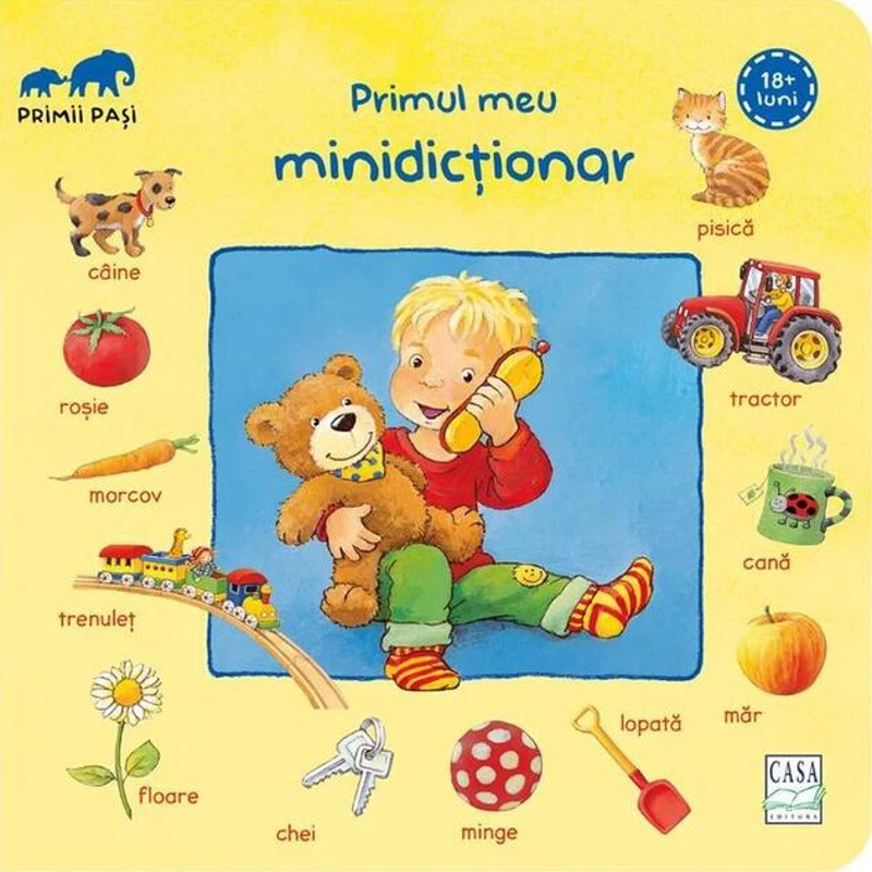Primul meu minidicționar