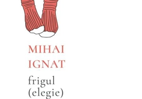 Frigul (elegie)