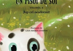 Jup cel neadormit. Jup, un pisoi de soi (Vol.10)