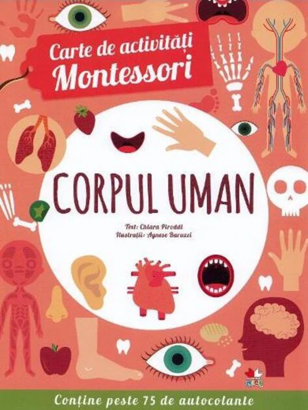 Corpul uman