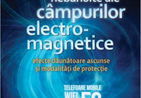 Pericolele nebănuite ale câmpurilor electro-magnetice