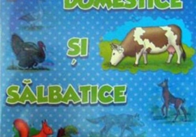 Animale domestice și sălbatice 3+. Carte de colorat cu abțibilduri