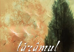 Tărâmul vânturilor