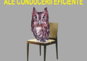 Liderul şi cele 21 de principii ale conducerii eficiente