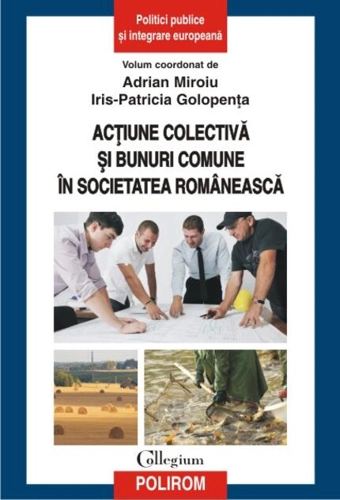 Acţiune colectivă şi bunuri comune în societatea românească