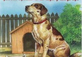 Animale de la fermă (pliant)