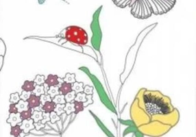 Semne de carte de colorat. Minunile naturii