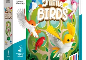 Joc de logică 5 Little Birds cu 60 de provocări