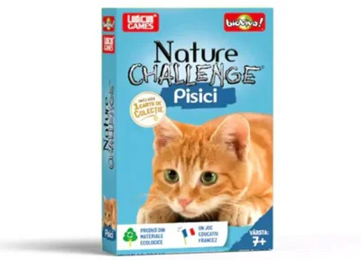 Nature Challenge. Pisici