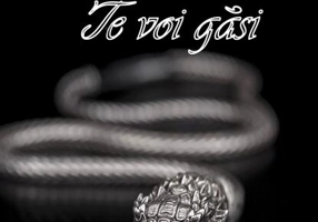 Te voi găsi (Vol. 2)