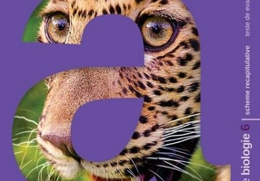 Concentrat de biologie. Clasa a VI-a